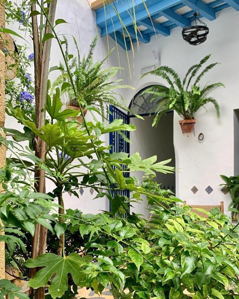 Hostal Casa Alborada Кониль-де-ла-Фронтера Экстерьер фото